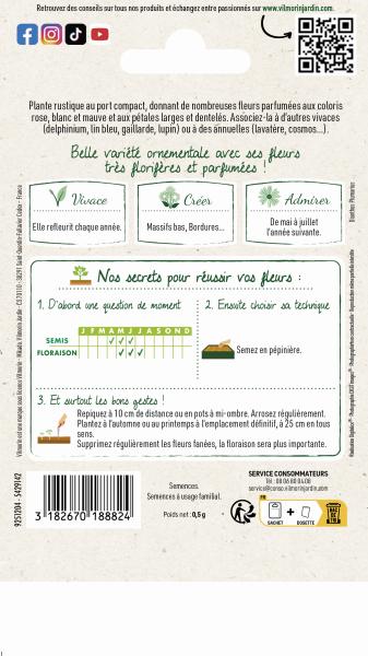 Fleurs - Œillet Mignardise Simple Varié - MEDIA_PACKAGING_VERSO